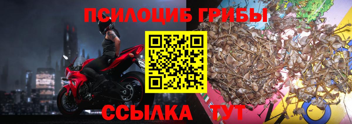 Галлюциногенные грибы мицелий  Галлюциногенные грибы мухоморы  Вход с VPN  Северобайкальск 
